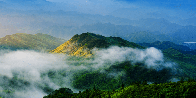 大圍山國(guó)家森林公園和易景通景區(qū)票務(wù)系統(tǒng)達(dá)成合作