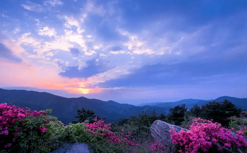 易景通票務(wù)系統(tǒng)協(xié)助木蘭云霧山打通多渠道售票通道案例