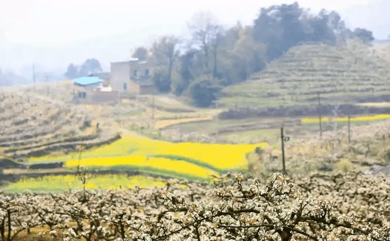 黃瓜山景區(qū)與易景通票務(wù)系統(tǒng)達(dá)成深度合作案例