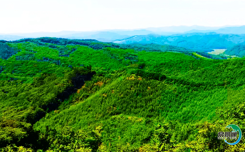 景區(qū)ota票務(wù)系統(tǒng)為景區(qū)開拓售票渠道